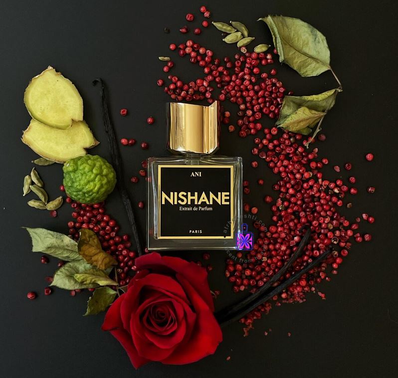 نیشانه آنی
